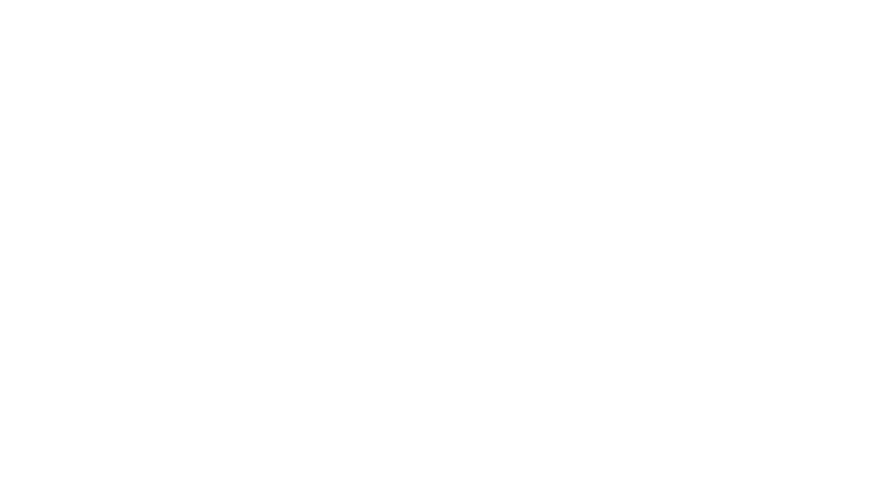 BuCo Akademi Logo